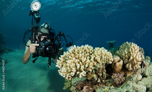 underwater photographer
