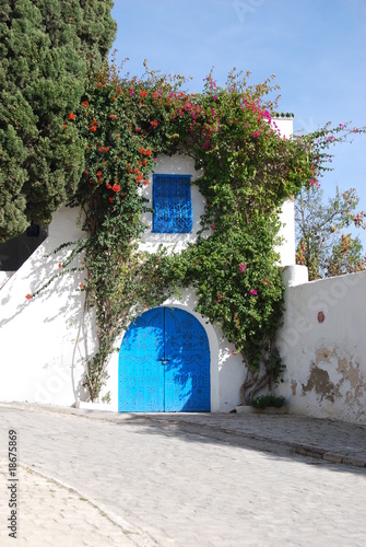 Porte de Sidi Bou Said en Tunisie © OlivierTetart