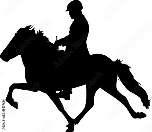 Toelt 20 - IcelandicHorse