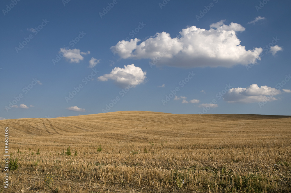 Campi e nuvole