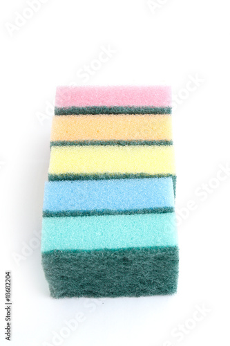 Sponges