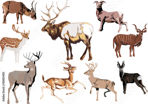 nine horned animal