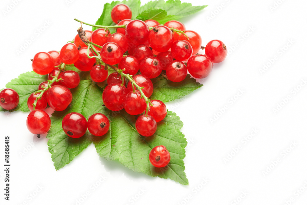 Red currant fruit and green leaves. Red currant fruit and green leaves.