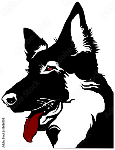 head dog shepherd