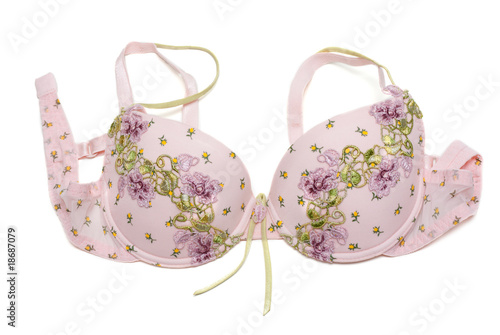 Rose bra with green embroidery