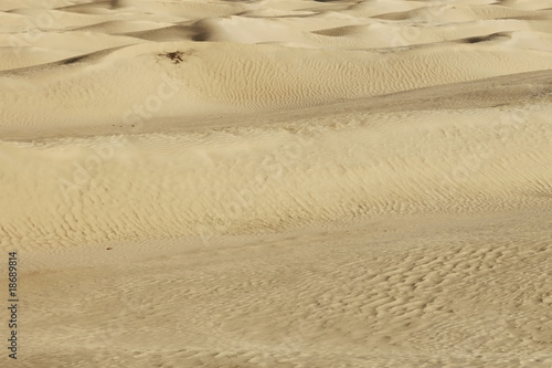 Wüstensand © jh Fotografie