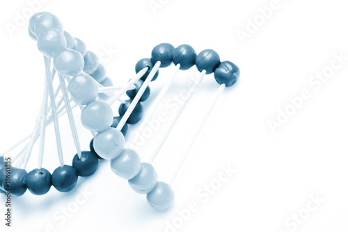 Molecule of DNA