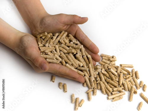 Hands with a woodpellets photo
