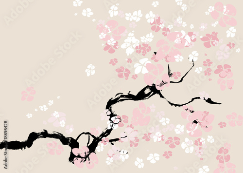 cherry blossom