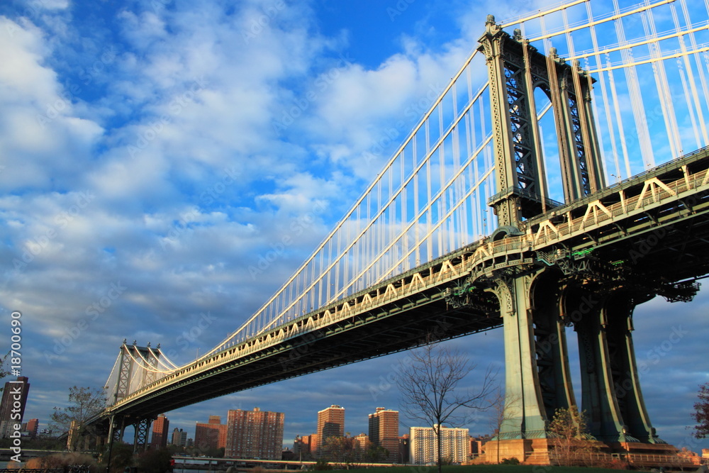 Naklejka premium Manhattan Bridge