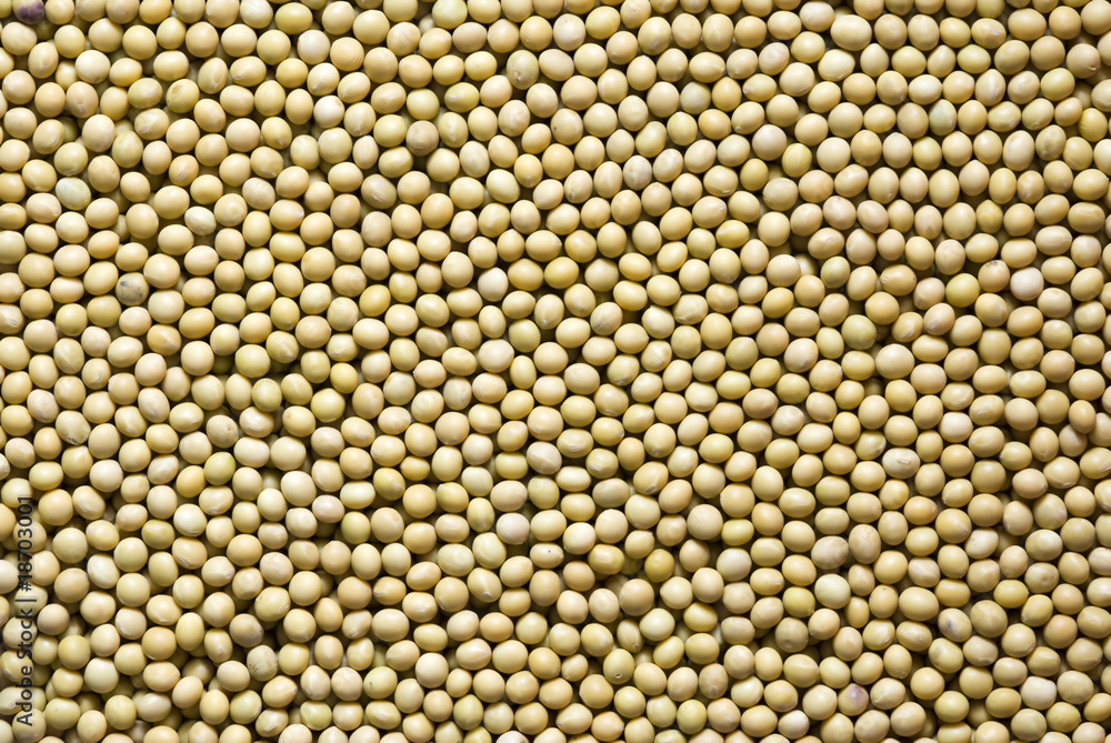 soya beans closeup backgrounds soya beans closeup backgrounds