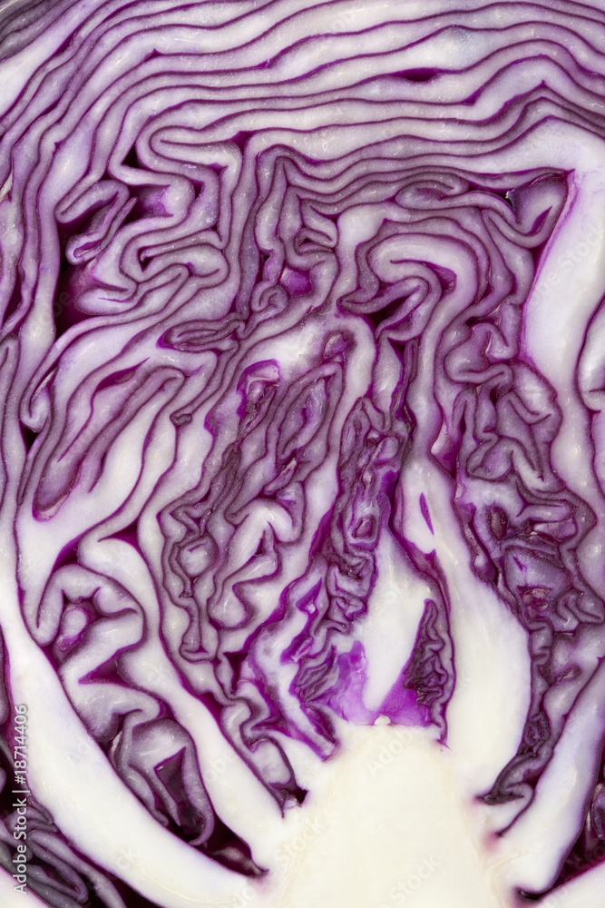 Obraz premium Pattern of red cabbage
