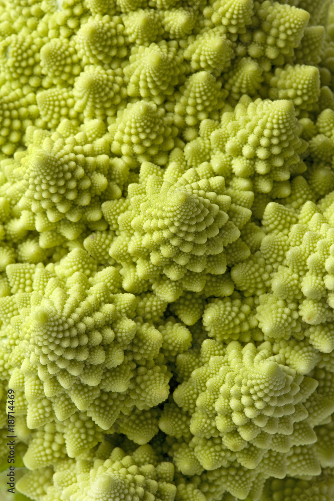 Romanesco full frame, close up Romanesco full frame, close up