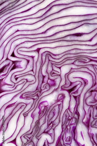 Slice of red cabbage