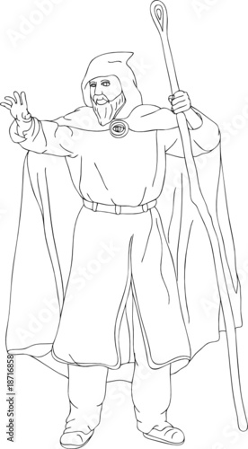 vector - druid isolated on background