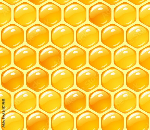 Vector honey background
