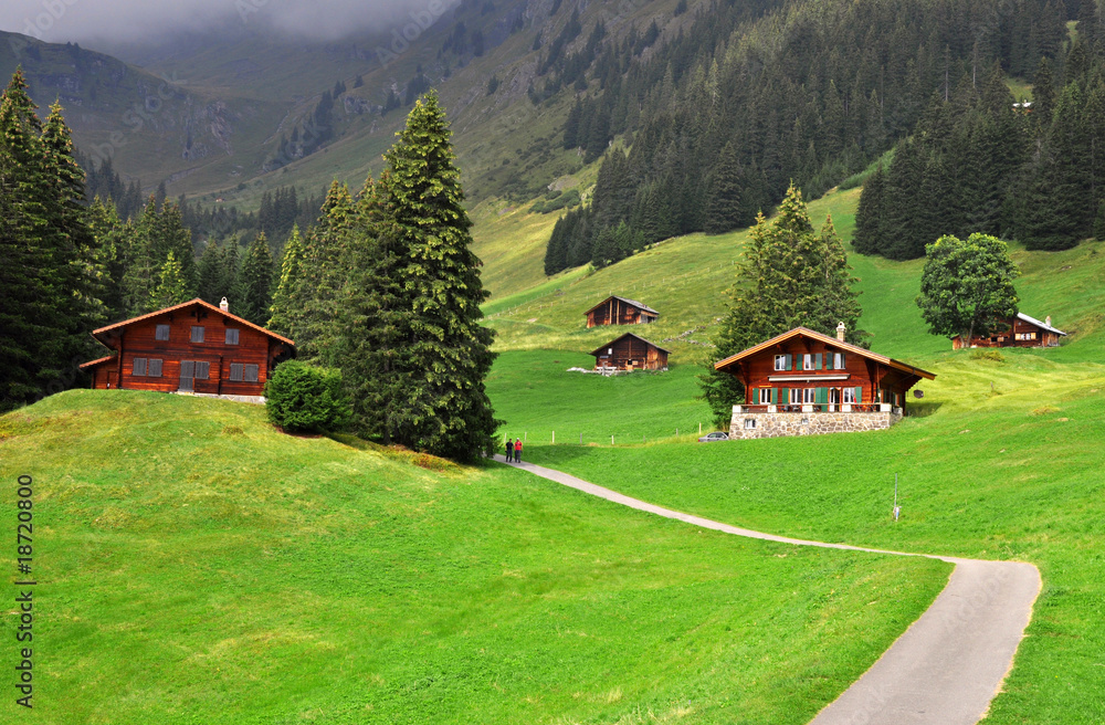 Grindelwald im Berner Oberland, Alpen in der Schweiz
