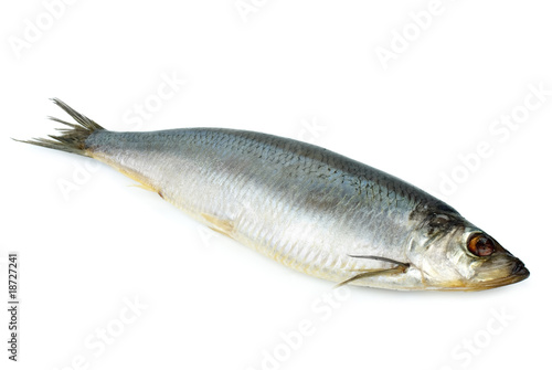 Salted herring photo