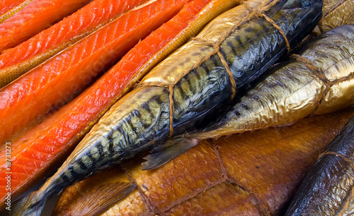 fish background