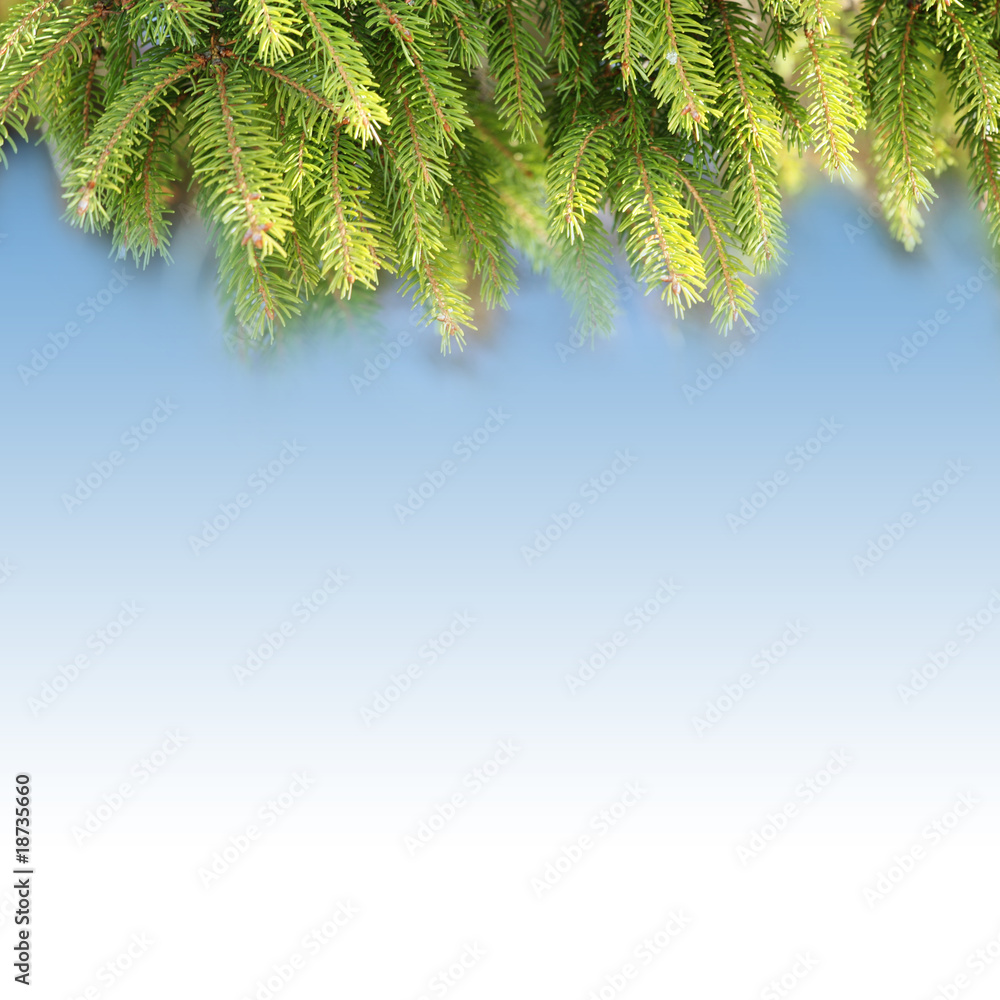 Obraz premium Mit Tannenzweigen dekoriert!