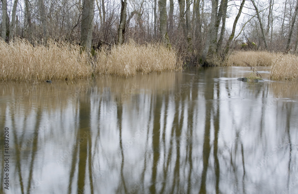 The small river.