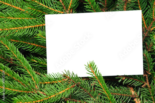 Pine branches and christmas card