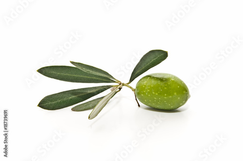 Wallpaper Mural Aceite de oliva 19 Torontodigital.ca