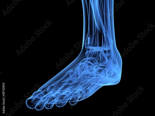Röntgenaufnahme - menschlicher Fuß