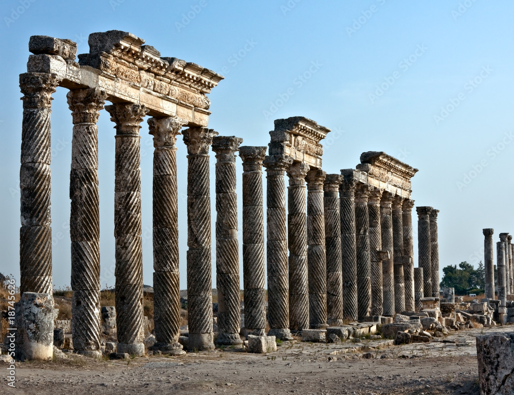 Fototapeta premium Syria - Apamea