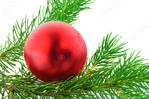 Fotografia Christmas branch fur-tree with red boll