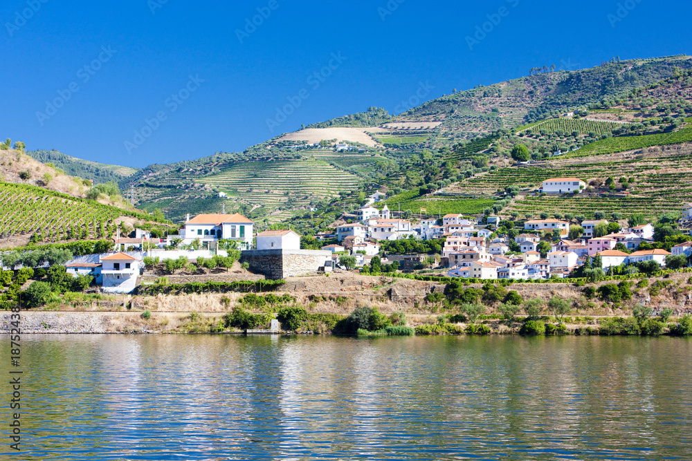 Obraz premium Douro Valley, Portugal