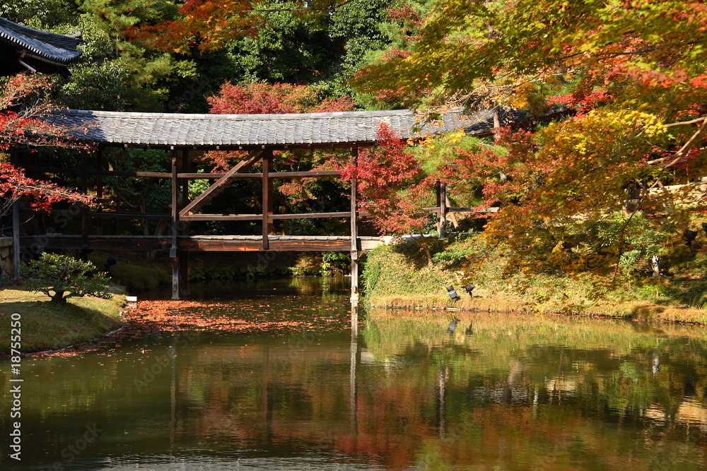 Jardin japonais en automne (Kodai-ji temple a Kyoto)