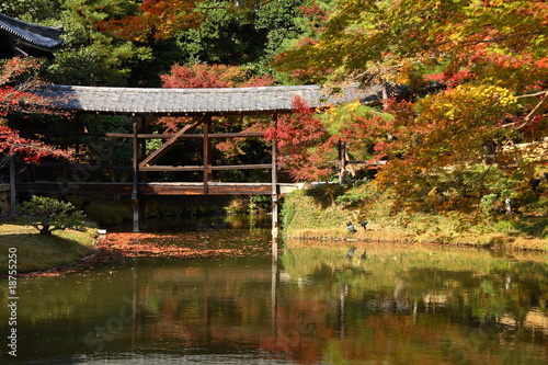 Jardin japonais en automne (Kodai-ji temple a Kyoto)