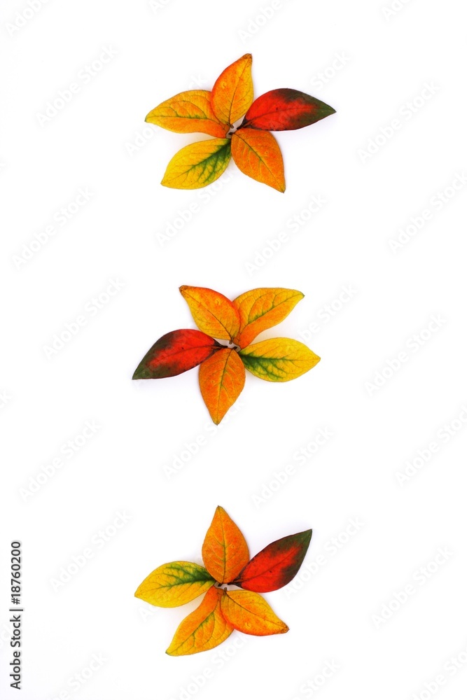 Autumn Autumn