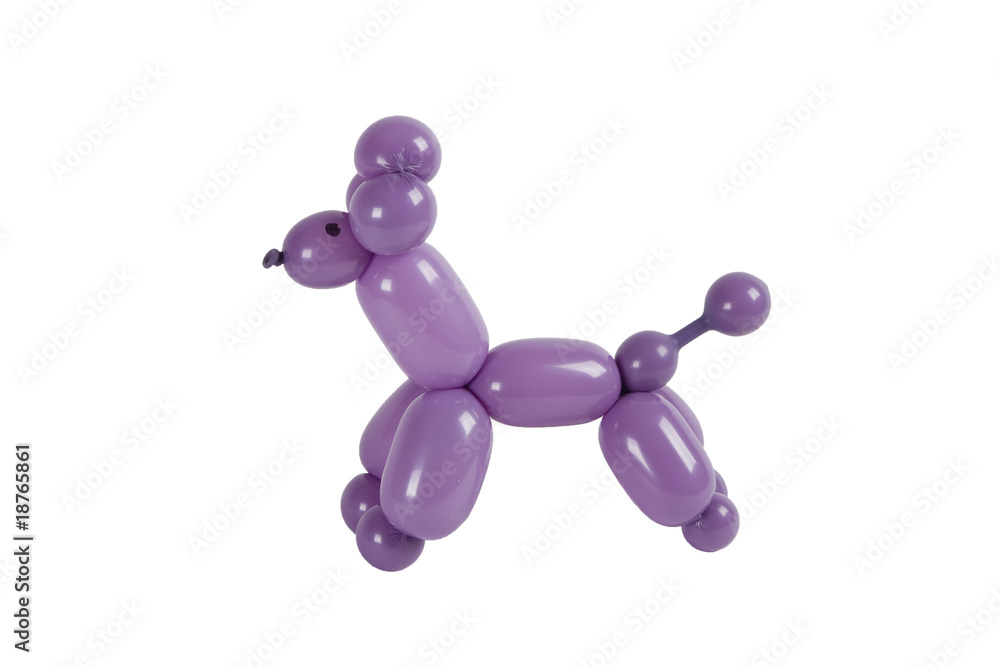 Balloon poodle isolated on white Balloon poodle isolated on white