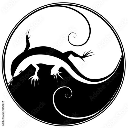 lizard
