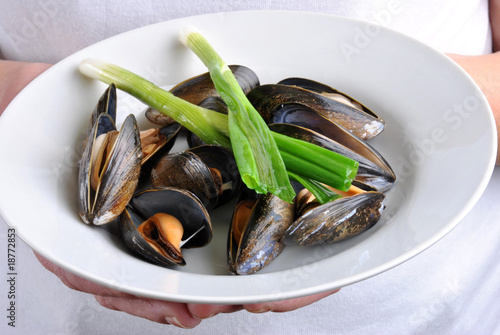 cooked organic mussel served on a white plate
