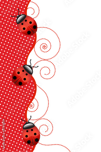 Ladybugs