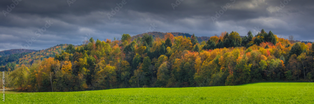 Tree covered hills in autumn