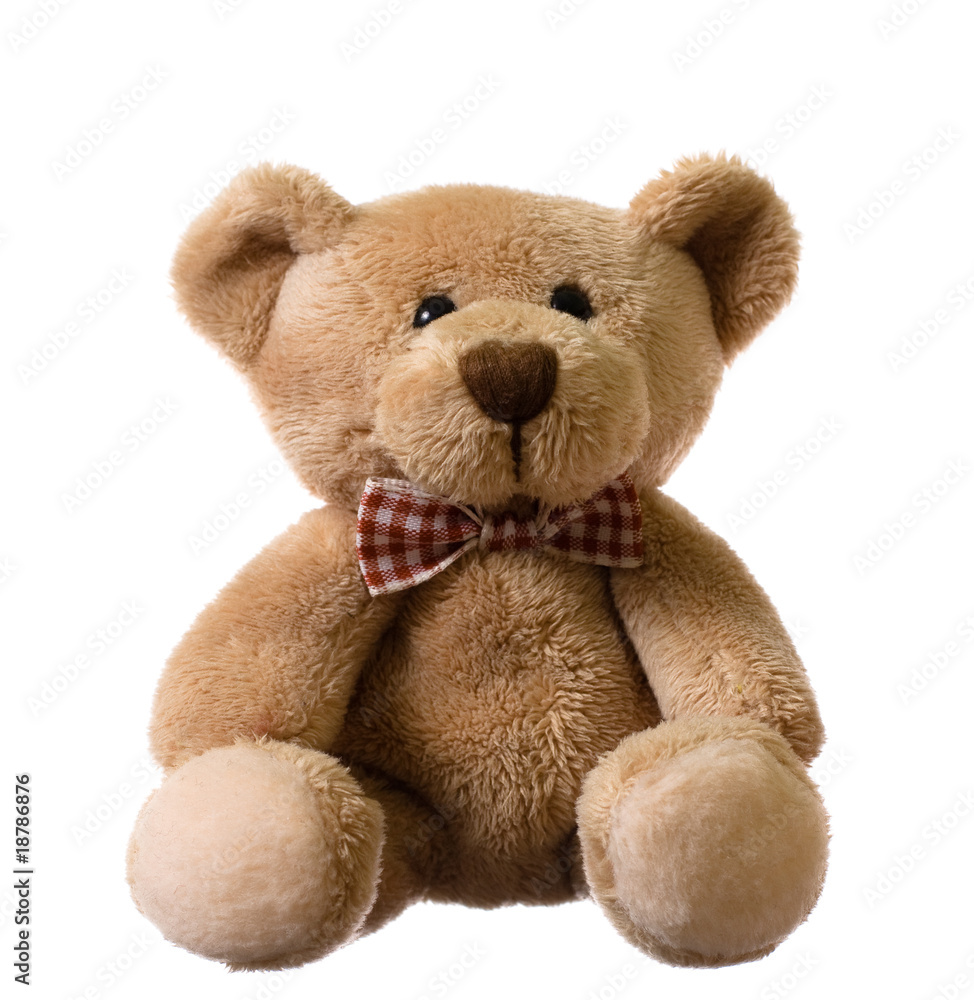 Obraz premium Sitting teddy bear