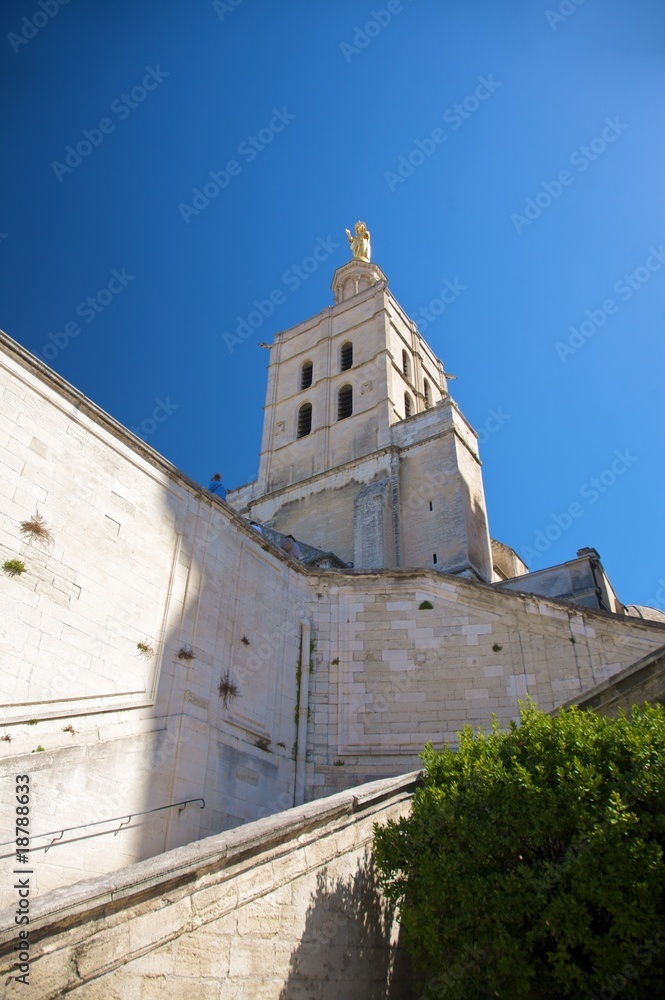 Fototapeta premium stairs to avignon cathedral
