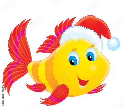 Photography Coral fish wearing a Christmas cap