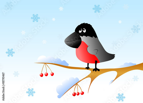 The bullfinch