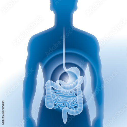 Magen, Darm, Magenmedizin, Untersuchung