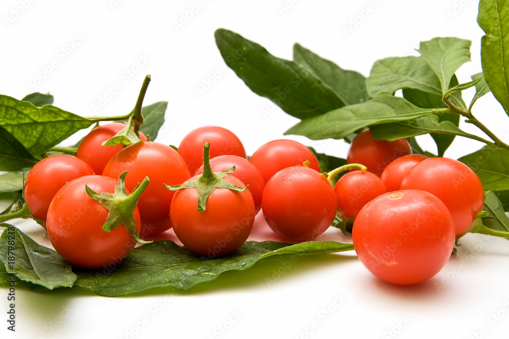 Tomates cherry 36