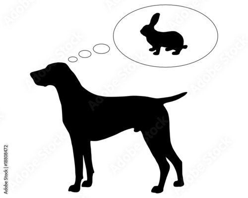Deutsch Kurzhaar der von Kaninchen träumt