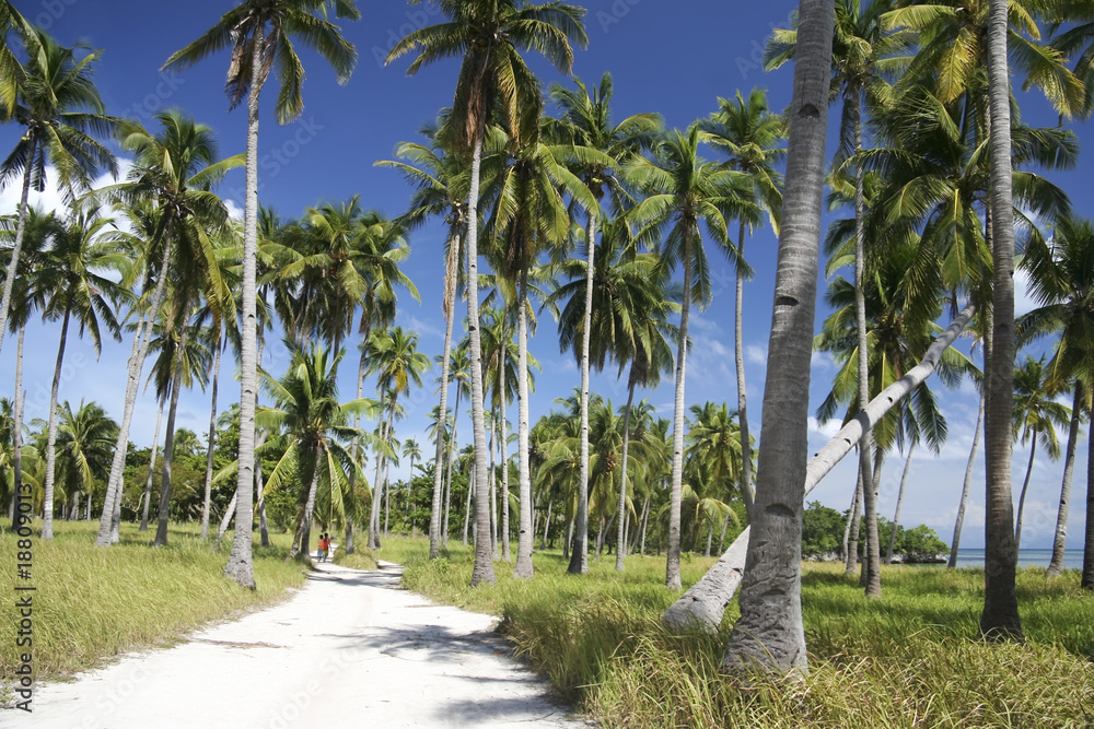 Obraz premium malapascua island roads