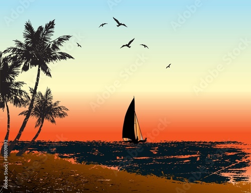 beach vector
