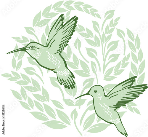 Kolibri