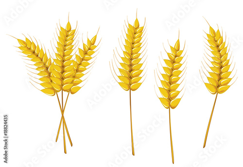 Agriculture symbols